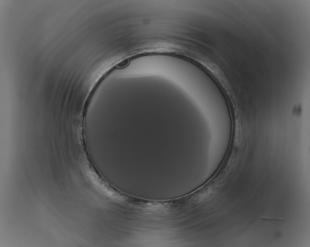 X0000111520850200907281337