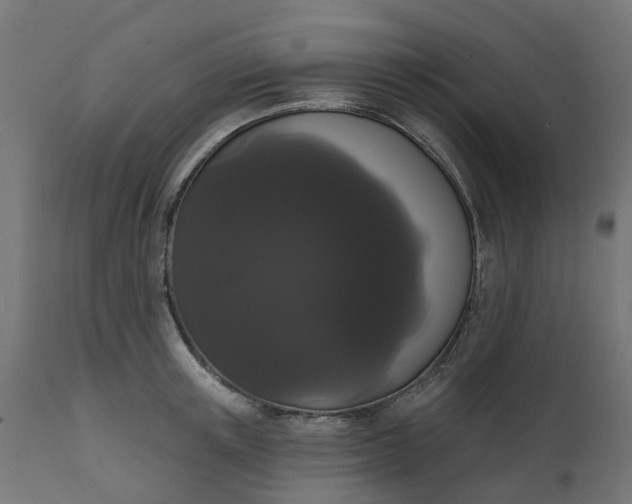 X0000111520851200907281337
