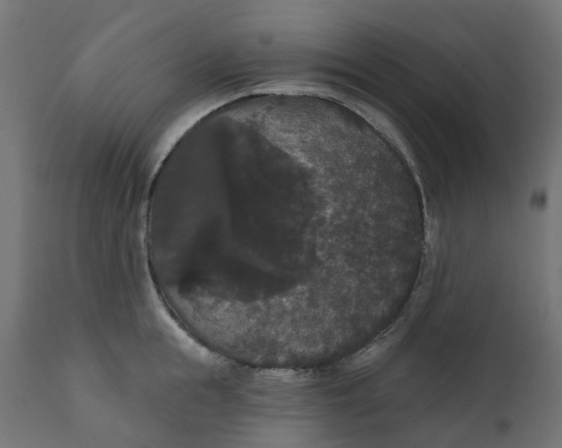 X0000111520855200907281337