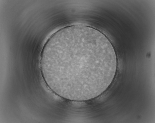 X0000111520856200907281337