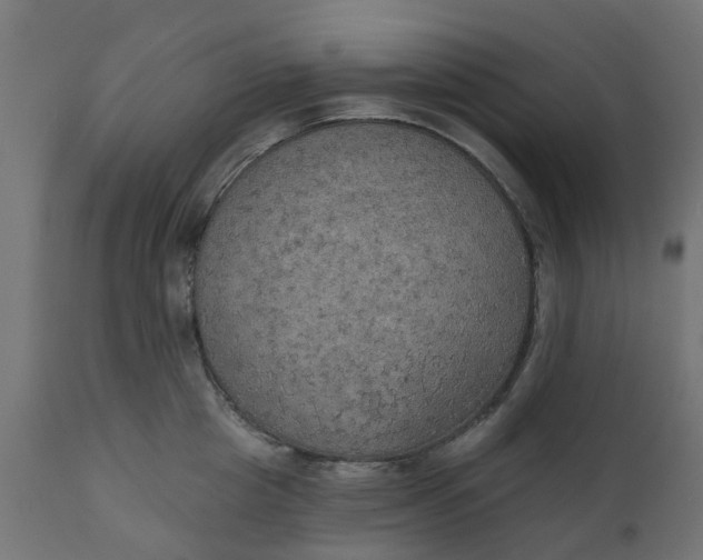 X0000111520857200907281337