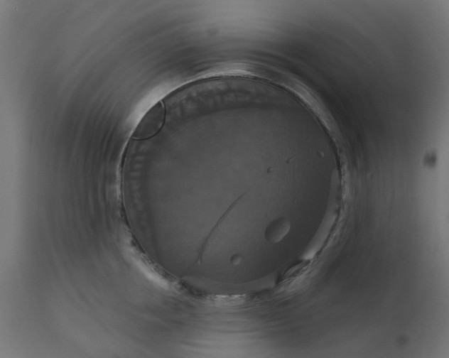 X0000111520858200907281337