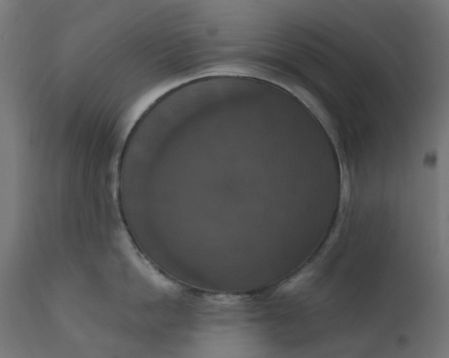 X0000111520862200907281337