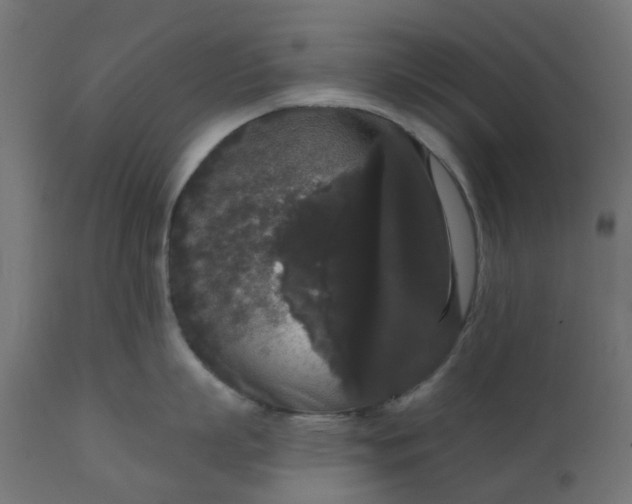 X0000111520863200907281337