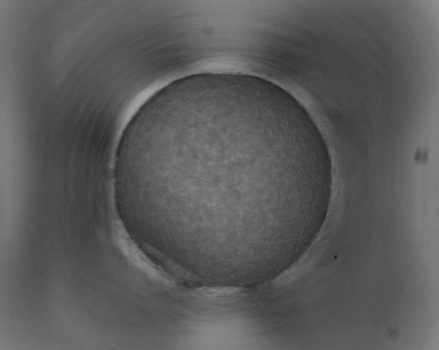 X0000111520864200907281337