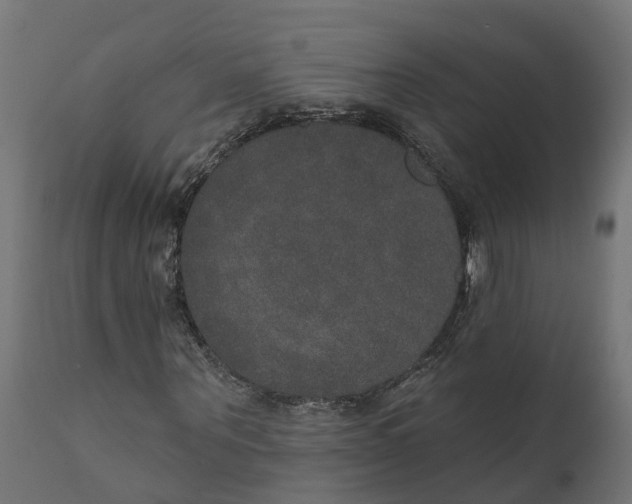 X0000111520867200907281336