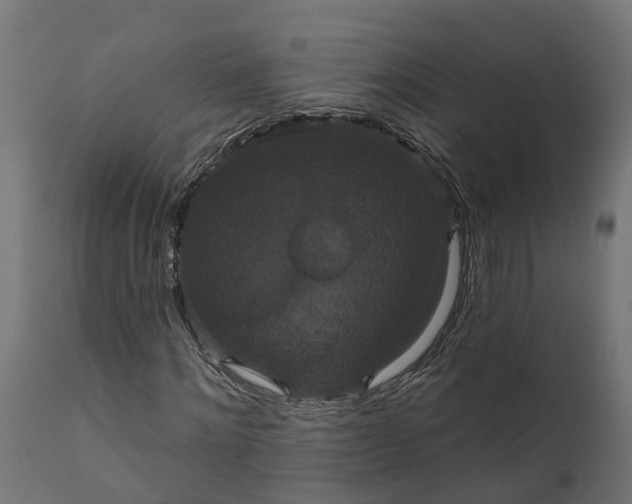 X0000111520868200907281336