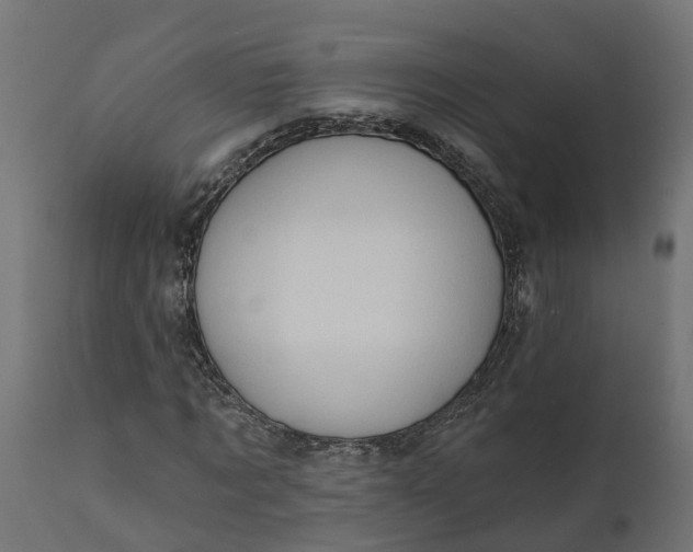 X0000111520869200907281336