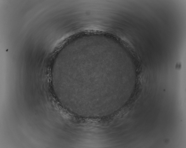 X0000111520870200907281336