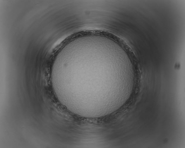 X0000111520871200907281336