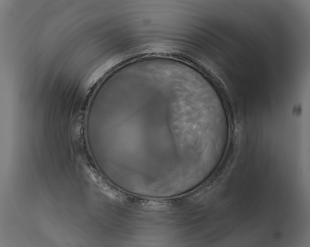 X0000111520874200907281336