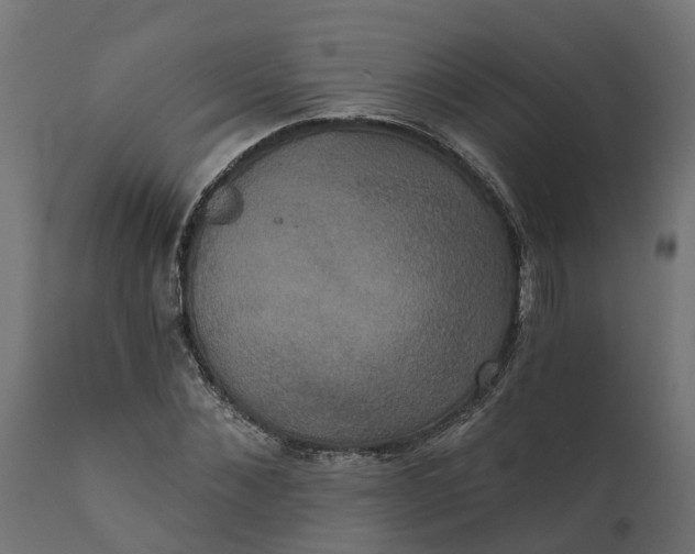 X0000111520876200907281336
