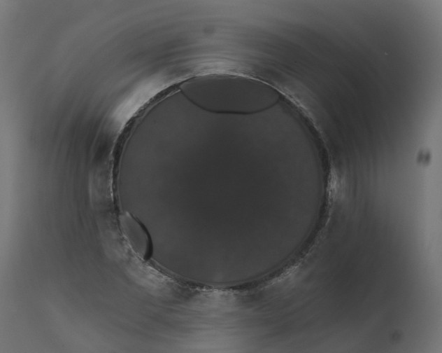 X0000111520877200907281336
