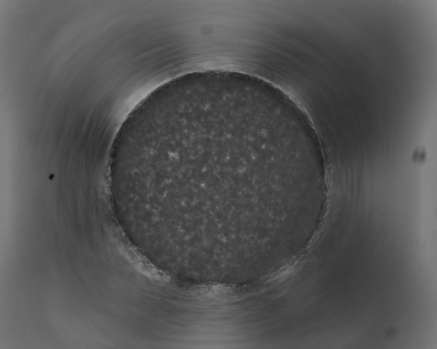 X0000111520879200907281336