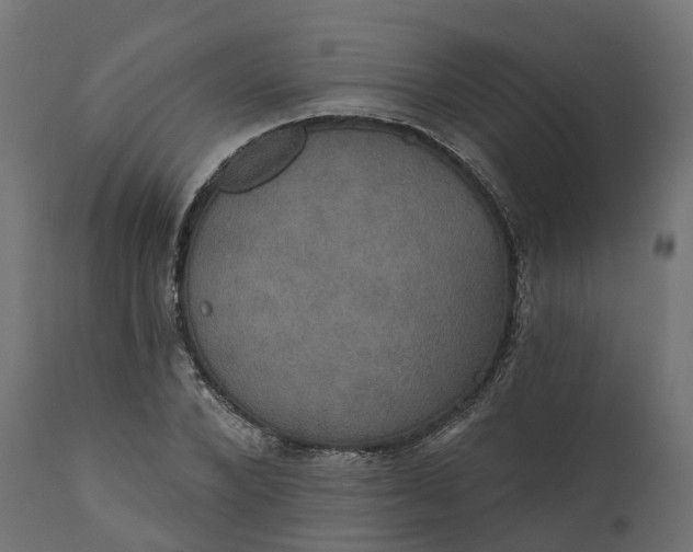 X0000111520880200907281336