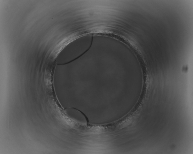 X0000111520881200907281336