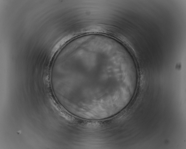 X0000111520882200907281336