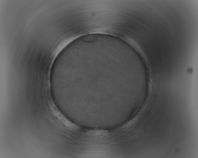X0000111520884200907281336