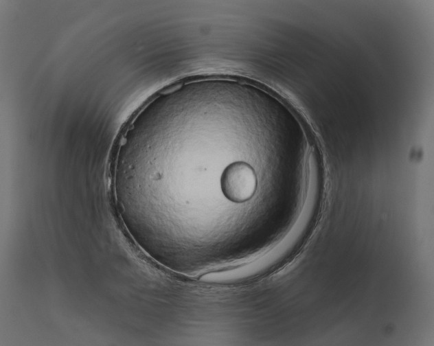 X0000111520885200907281336