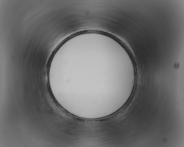 X0000111520887200907281336