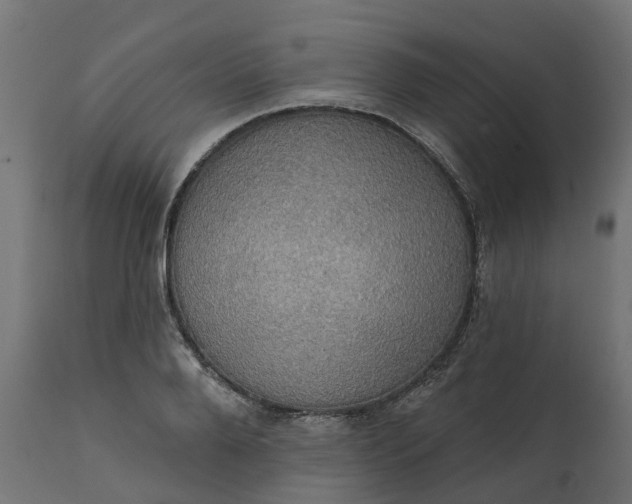 X0000111520888200907281336