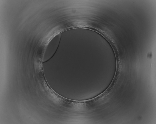 X0000111520889200907281335