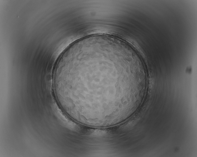 X0000111520890200907281335