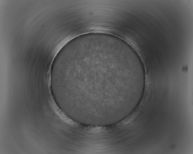 X0000111520891200907281335