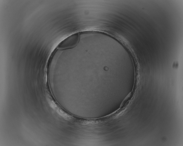 X0000111520892200907281335