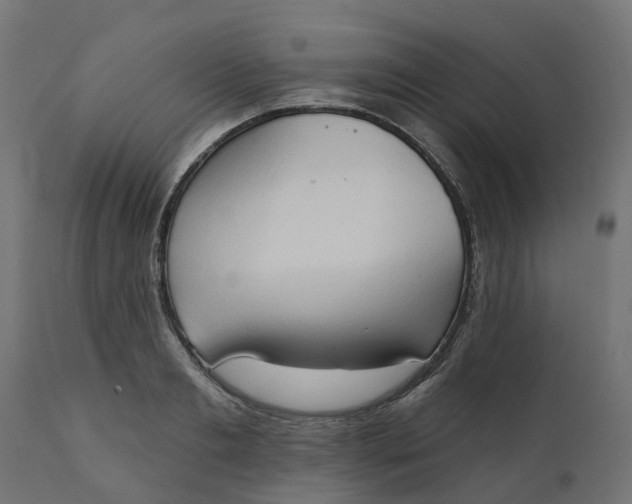 X0000111520893200907281335