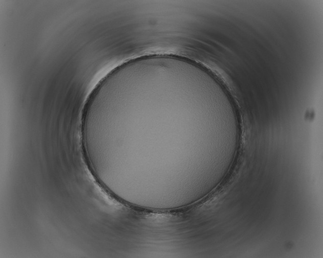 X0000111520894200907281335