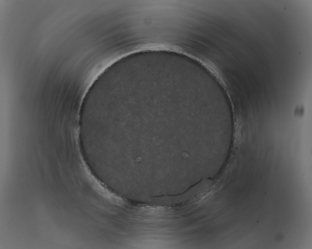 X0000111520895200907281335