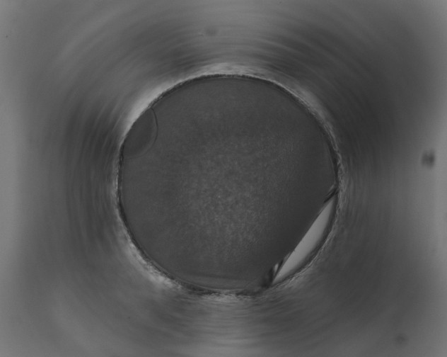 X0000111520896200907281335