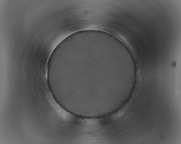 X0000111520900200907281335
