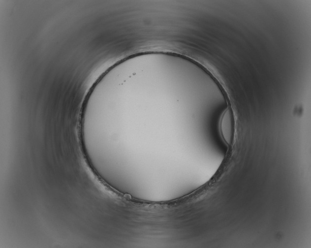 X0000111520901200907281335
