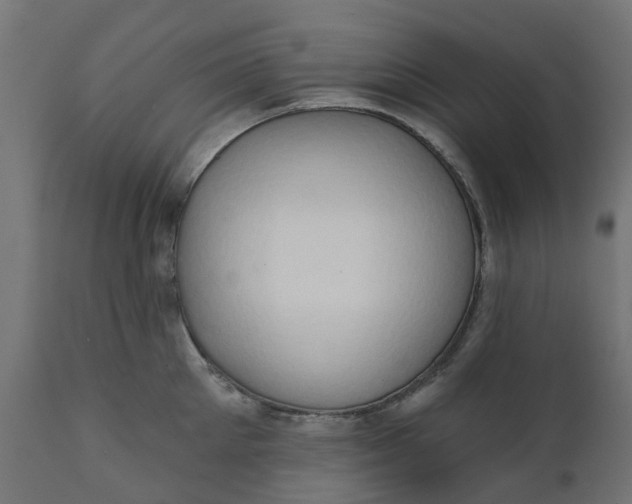 X0000111520905200907281335