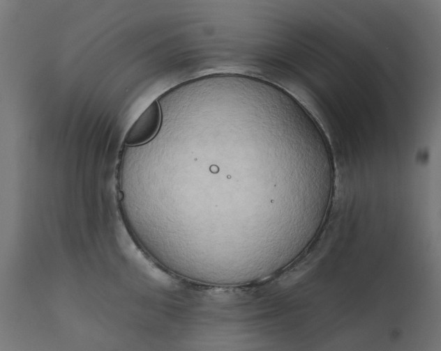 X0000111520906200907281335