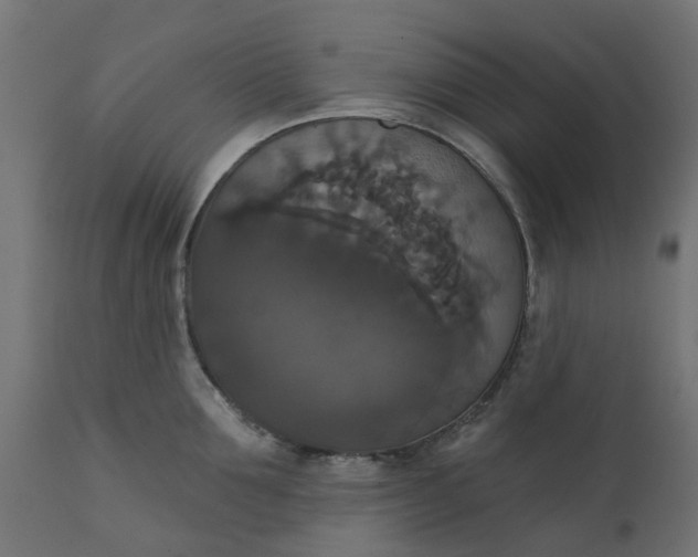 X0000111520907200907281335