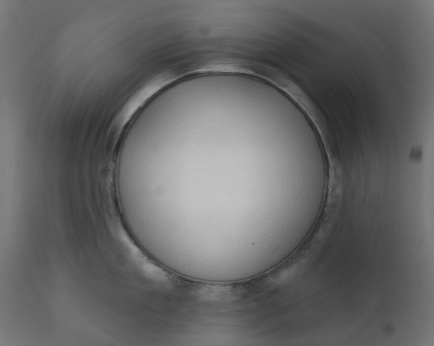X0000111520909200907281335