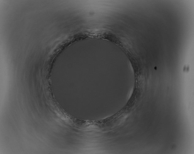X0000111520913200907281335
