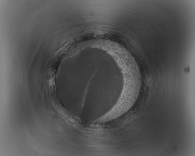 X0000111520914200907281335