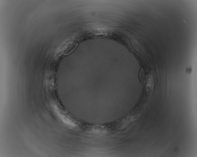 X0000111520916200907281335