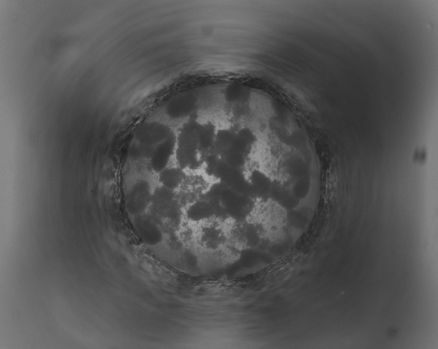 X0000111520917200907281335