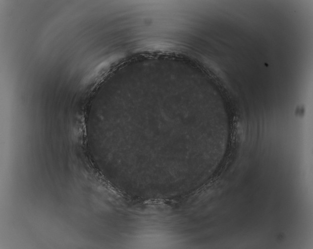 X0000111520918200907281335