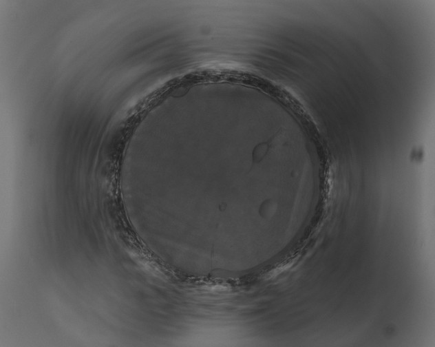 X0000111520919200907281335