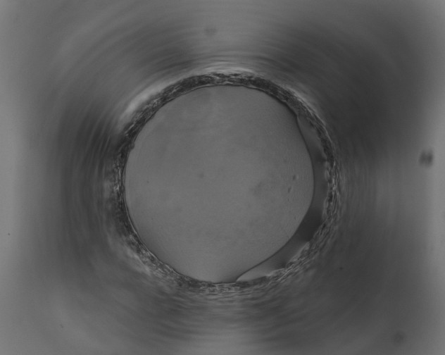 X0000111520920200907281335