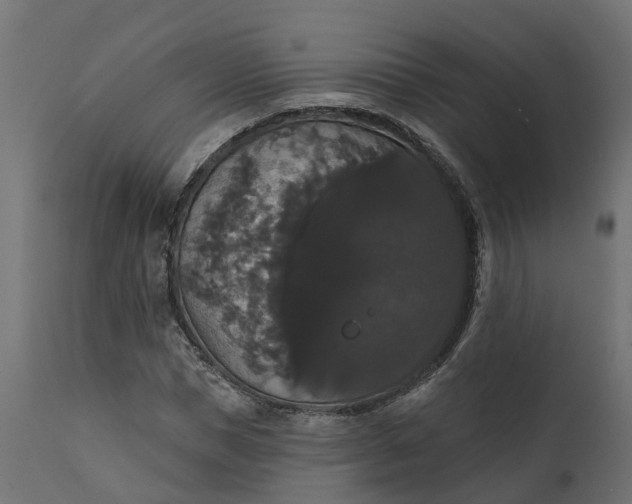 X0000111520921200907281335