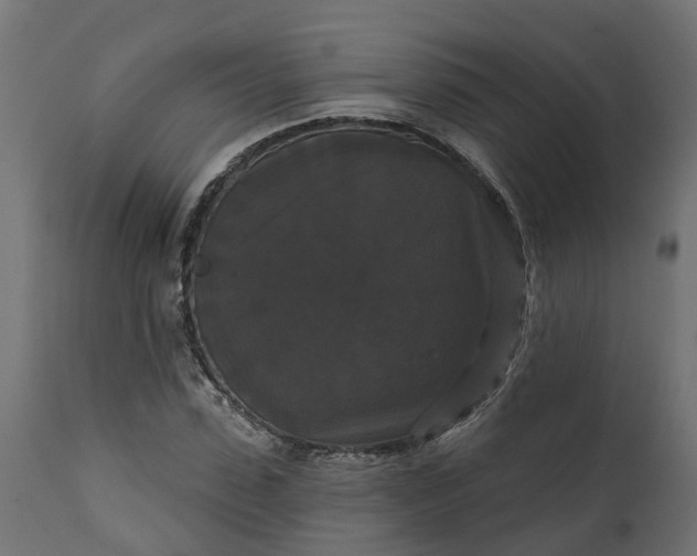 X0000111520923200907281335