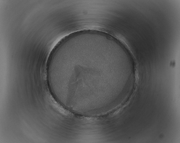 X0000111520924200907281335