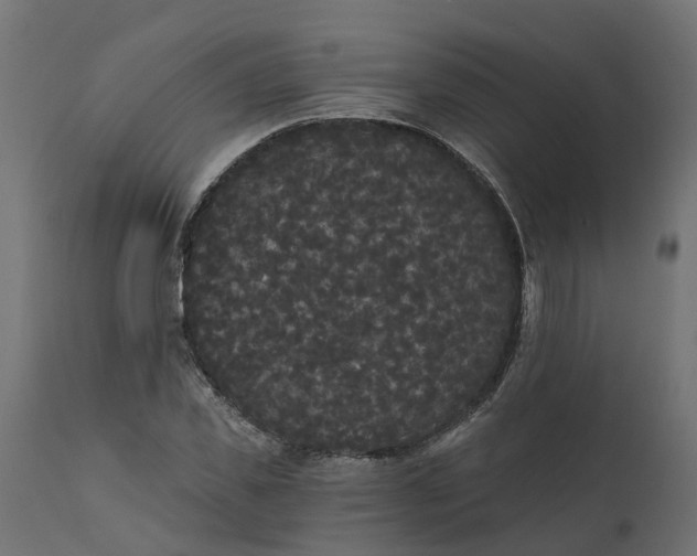 X0000111520925200907281335